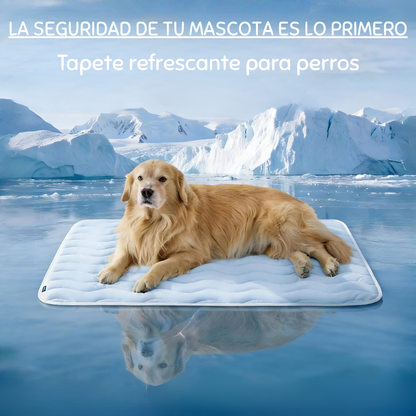Tapete Refrescante para Perros
