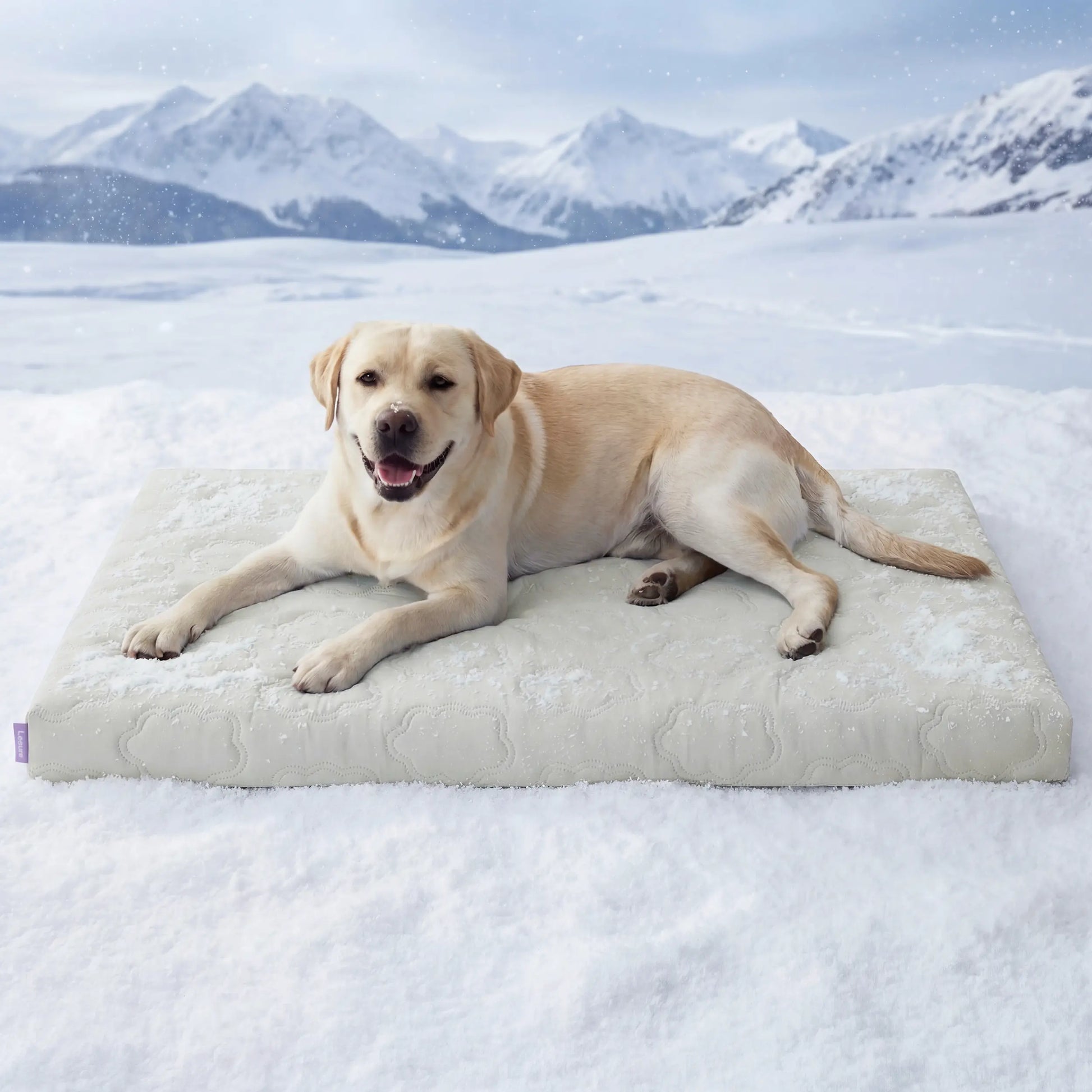 Bedsure Cooling Thin & Thick Mat for Dogs – Q-MAX>0.4 Washable Pet Cooling Pad, No Gel, No Electric, Non-Slip Summer Crate Bed for Large Dogs Summervibes