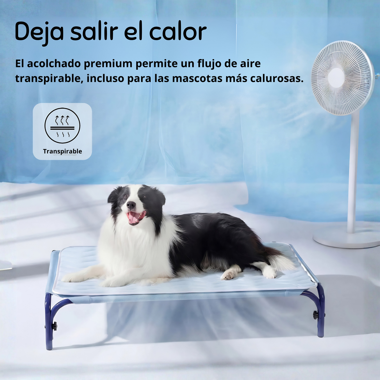 Tapete Refrescante para Perros