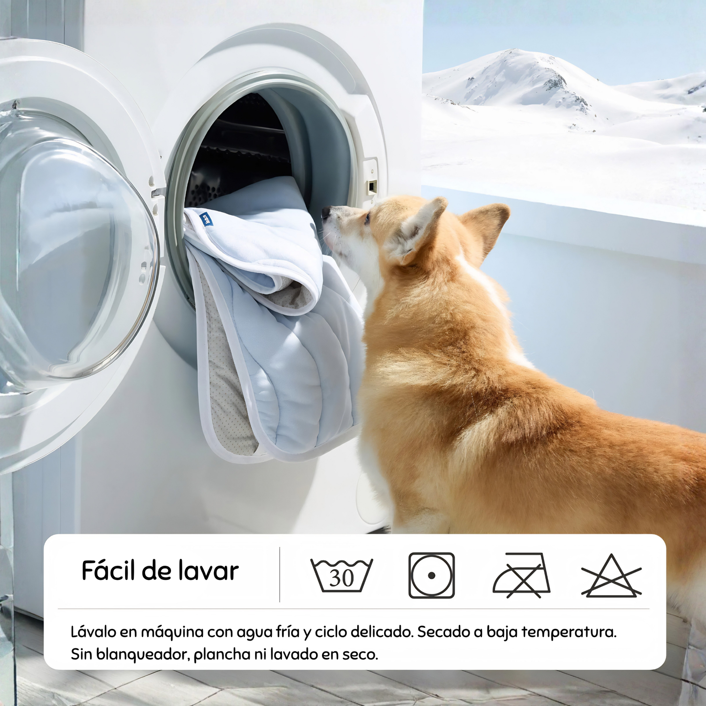 Tapete Refrescante para Perros